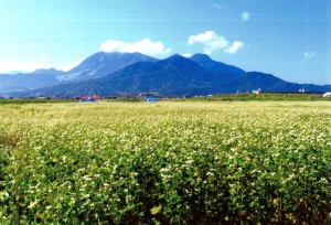 長野県・飯山市　信州　信濃平